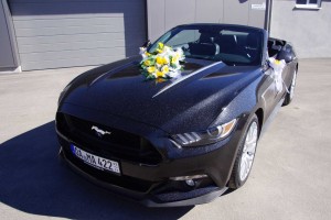 mustang-allgaeu-hochzeitsautos-cala-1